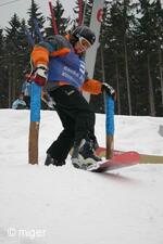 Dualsnow
