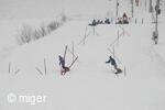 Dualsnow