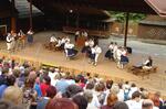 Folklorní festival Slezské dny