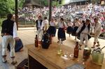 Folklorní festival Slezské dny