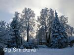 zima