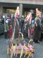 MASOPUST 2012
